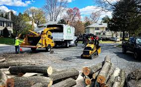Best Lawn Renovation and Restoration  in Saranac Lake, NY